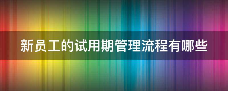 新员工的试用期管理流程有哪些（新员工试用期管理流程图）