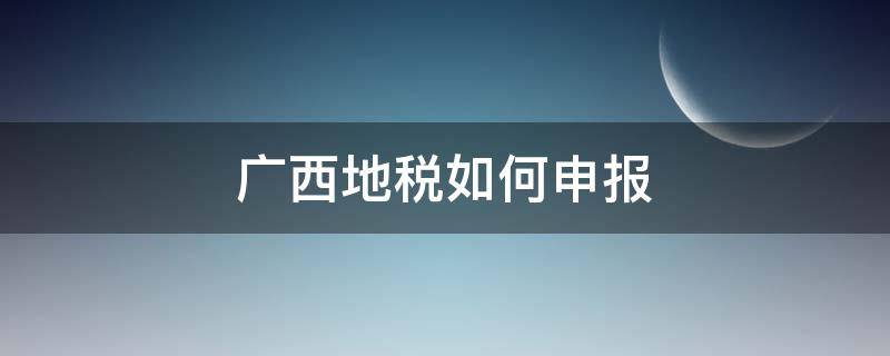 广西地税如何申报 广西税务申报