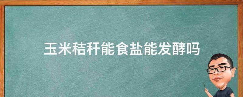 玉米秸秆能食盐能发酵吗（玉米秸秆可以改良盐碱地吗）