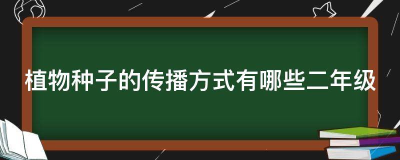 植物种子的传播方式有哪些二年级 植物种子的传播方式有哪些二年级都那些