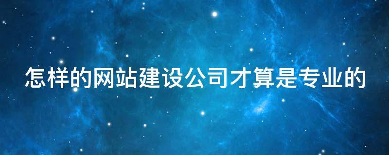 怎样的网站建设公司才算是专业的（怎样的网站建设公司才算是专业的呢）