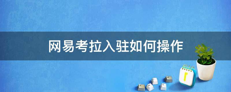 网易考拉入驻如何操作（网易考拉怎么入驻）