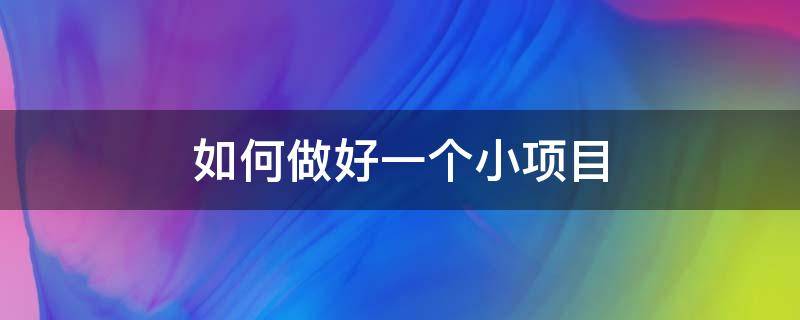 如何做好一个小项目 如何做好一个小项目工作