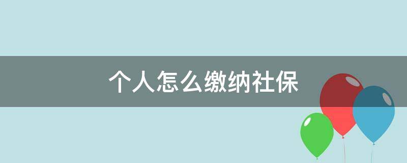 个人怎么缴纳社保（辞职后手机上个人怎么缴纳社保）