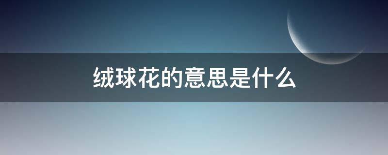 绒球花的意思是什么 绒球花的意思是什么?