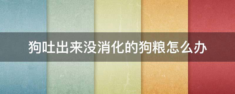 狗吐出来没消化的狗粮怎么办 狗吐出来没消化的狗粮怎么办啊