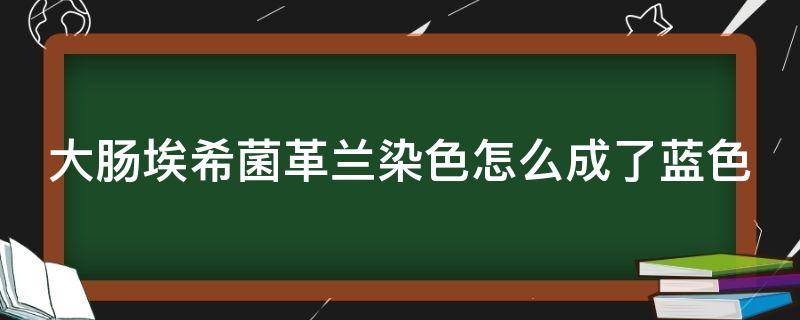 大肠埃希菌革兰染色怎么成了蓝色（大肠埃希菌革兰染色后的形态）