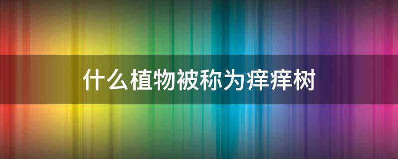 什么植物被称为痒痒树 什么植物被称为痒痒树啊