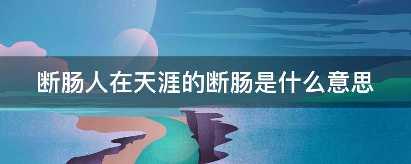 断肠人在天涯的断肠是什么意思（断肠人在天涯的断肠是什么意思是什么意思）