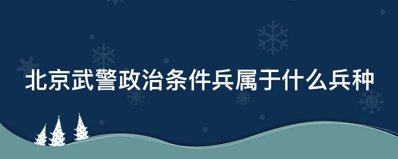 北京武警政治条件兵属于什么兵种（北京武警政治兵是干什么的）