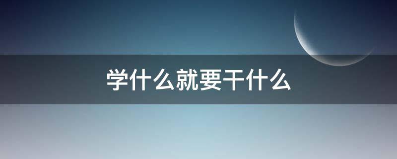 学什么就要干什么 学什么就学什么