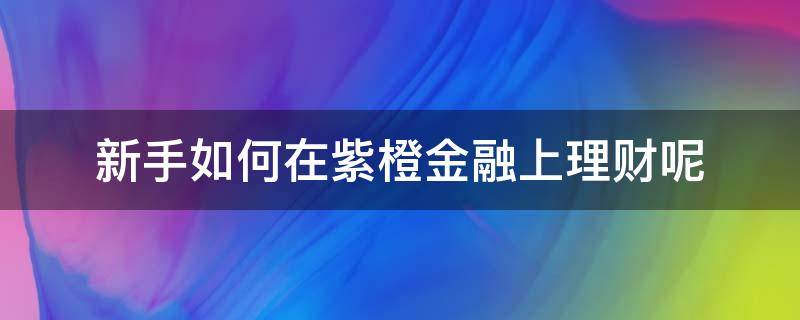 新手如何在紫橙金融上理财呢 紫橙集团在哪里