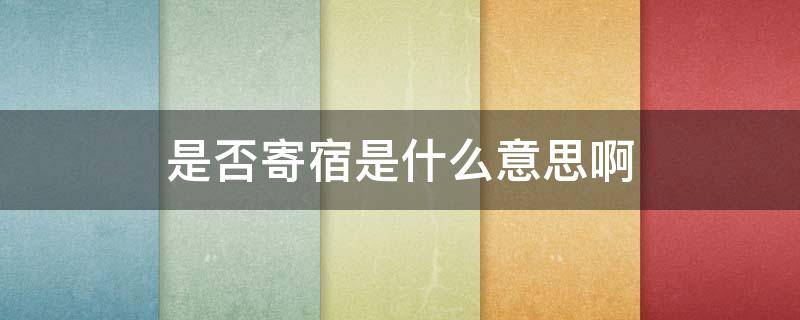 是否寄宿是什么意思啊 是否寄宿生是什么意思啊