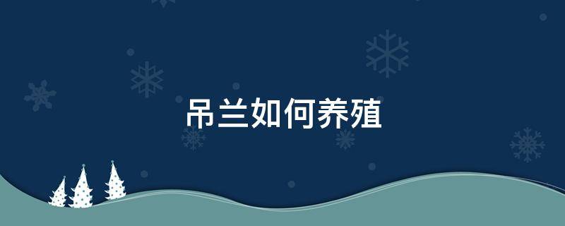 吊兰如何养殖 吊兰的养殖方法和注意事项