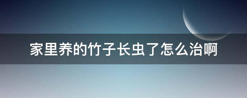 家里养的竹子长虫了怎么治啊（家里养的竹子长虫了怎么治啊图片）