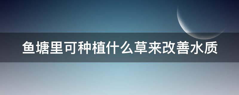 鱼塘里可种植什么草来改善水质 鱼塘里可种植什么草来改善水质质量