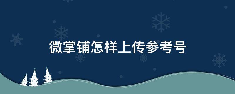 微掌铺怎样上传参考号 微掌铺怎么绑定终端