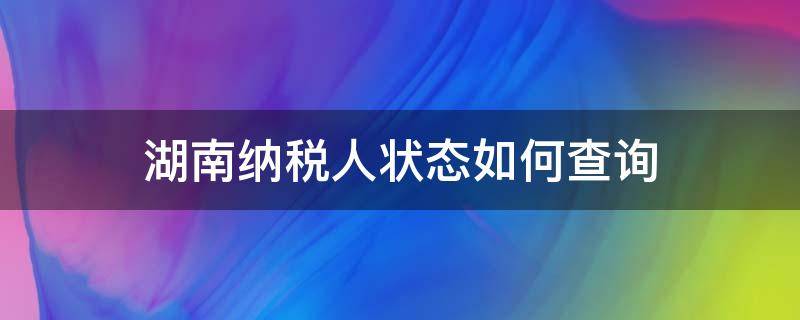 湖南纳税人状态如何查询 湖南纳税人状态如何查询到