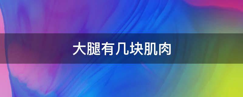 大腿有几块肌肉 大腿有几块肌肉组成