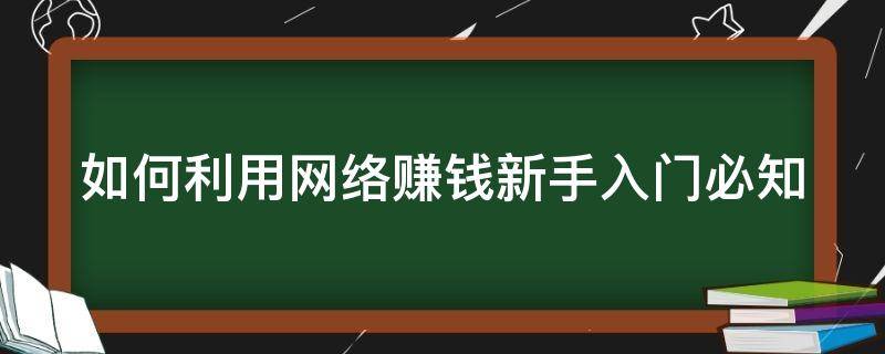 如何利用网络赚钱新手入门必知（如何利用网络赚钱呢）