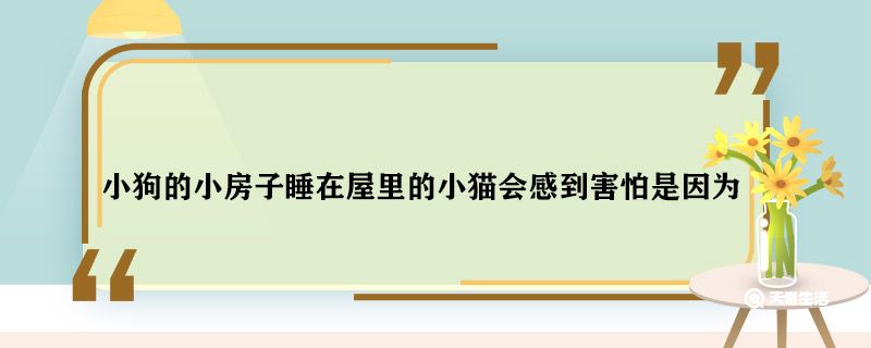 小狗的小房子睡在屋里的小猫会感到害怕是因为 小狗的小房子睡在屋里的小猫会感到害怕为什么