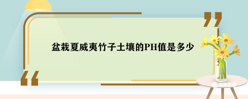 盆栽夏威夷竹子土壤的PH值是多少 盆栽夏威夷竹子土壤的PH值