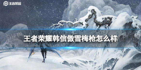 王者荣耀韩信傲雪梅枪怎么样（王者荣耀韩信傲雪梅枪怎么样值得买吗）