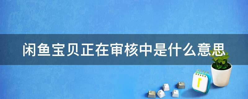 闲鱼宝贝正在审核中是什么意思 闲鱼网宝贝正在审核什么意思啊