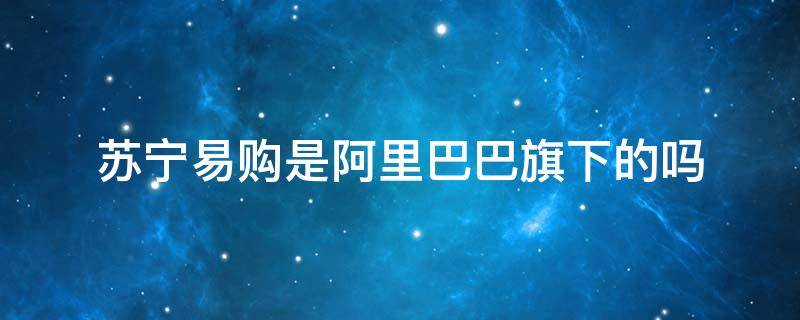 苏宁易购是阿里巴巴旗下的吗（苏宁易购是什么旗下的）