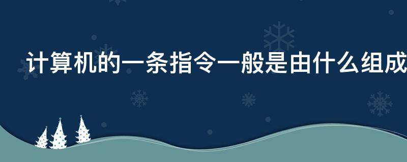 计算机的一条指令一般是由什么组成（一条计算机指令是用来干嘛的）