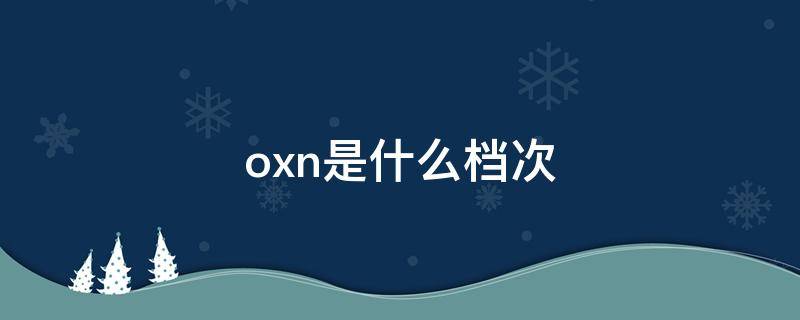 oxn是什么档次（OX是什么牌子）