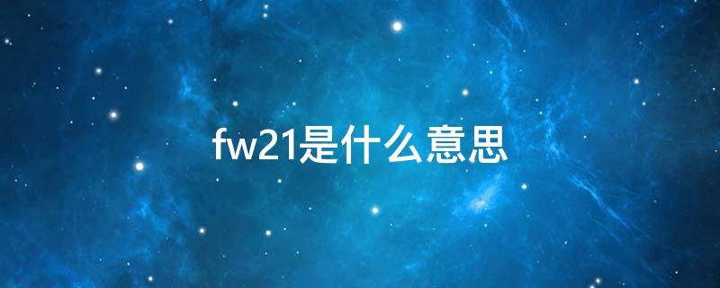 fw21是什么意思 fw20是什么意思