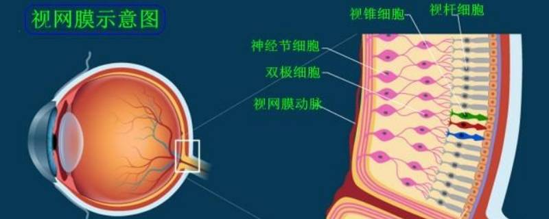 可以把光反射回什么达到收集光线的作用