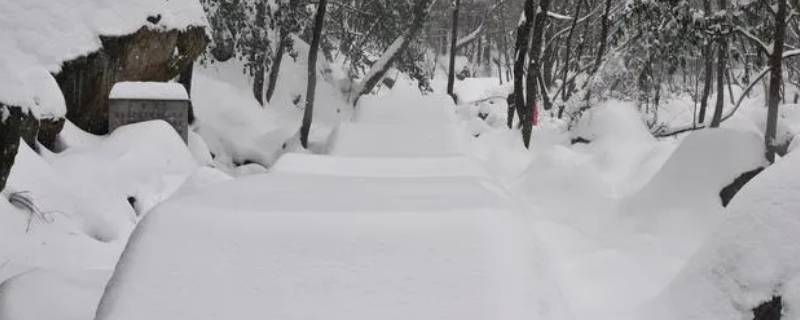 食用盐可以化雪除冰吗 食用盐能除雪吗