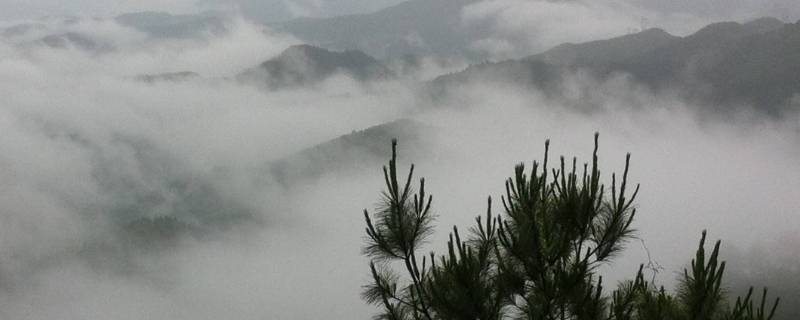 为什么下雨天会有很大的雾 下雨天会起大雾吗