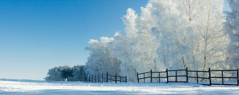 雪是什么味道 观夏昆仑煮雪是什么味道