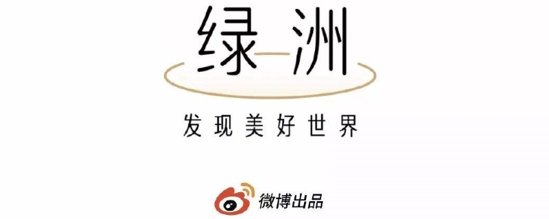 微博绿洲是什么（微博绿洲是什么时候推出的）